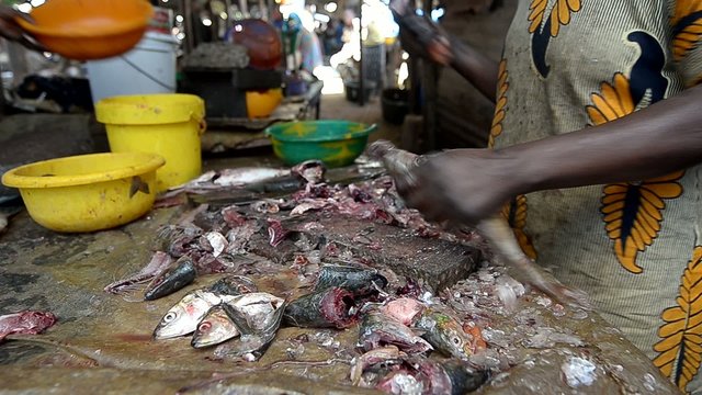 fish market in Dakar
