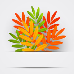 Autumn leaves on paper background