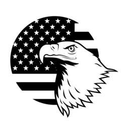 American eagle against USA flag background.