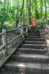 the scenery of jiajiang thousand buddha cliff ,sichuan,china
