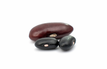 beans on white background