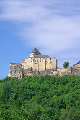 Fototapeta na wymiar Le château de Castelnaud en dordogne