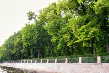 Embankment of the Saint Petersburg with beautiful tree