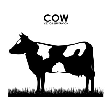 cow design