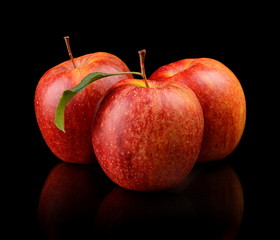 Studio shot of red apples with leaf