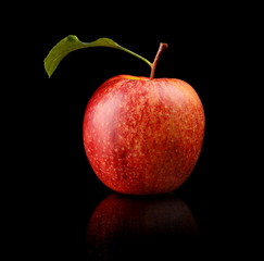 Studio shot of red apple with leaf