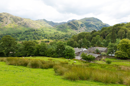 Lake District country scene Seatoller Borrowdale Valley