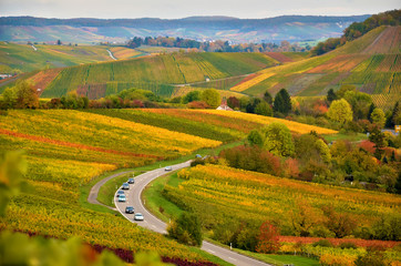 Germany autumn landscape with the view on vineyards