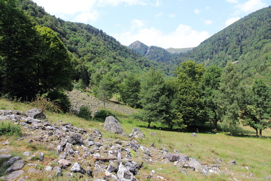 Vall&eacute;e de la Wormsa dans les Vosges