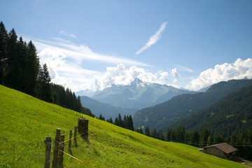 Ahornspitze - Zillertal - Alpen