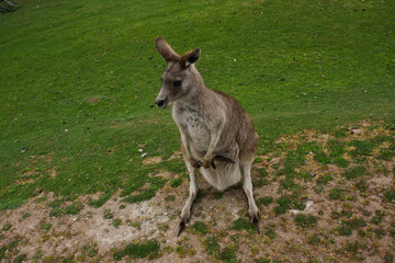 Australia National Park