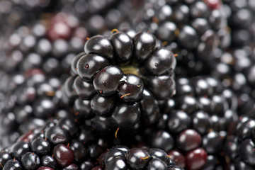blackberry