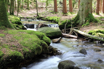 Cascades dans la vallée de la Wormsa dans les Vosges