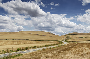 Country lane