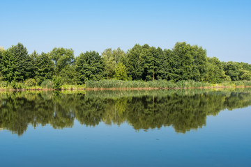 Fototapeta na wymiar lake landscape in summer morning