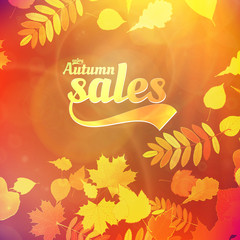 Autumn sale design template.