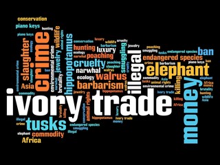 Ivory trade - word cloud concept