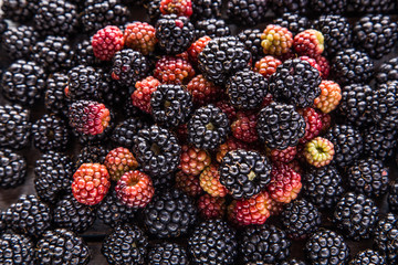 blackberries texture