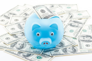 Blue piggy bank on dollars.