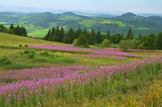 Auf der Wasserkuppe (Rh&ouml;n)