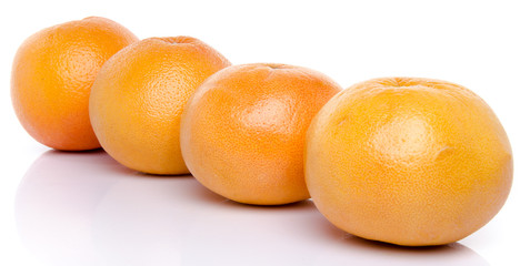 Line of grapefruits