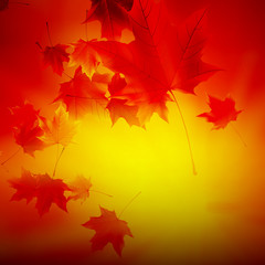 Delicate autumn sun with glare on gold sky.