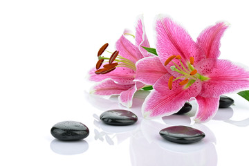 Fototapeta na wymiar Kamienie bazaltowe z różowymi liliami