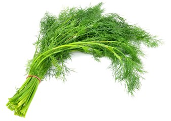 dill