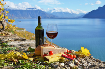 Wine and grapes. Lavaux region, Switzerland