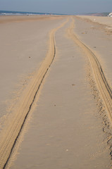 Tracks On Sand