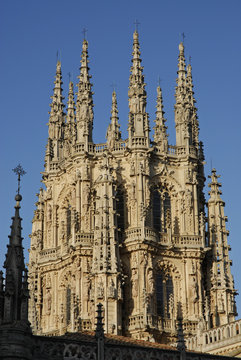 catedral