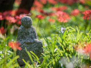 彼岸花と地蔵とトンボ