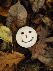 smiley mushroom