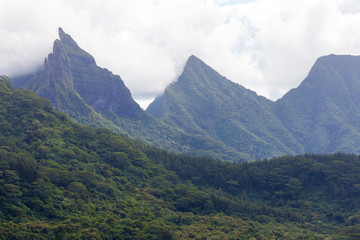 Naklejka premium Belvedere viewpoint in Moorea, French Polinesia