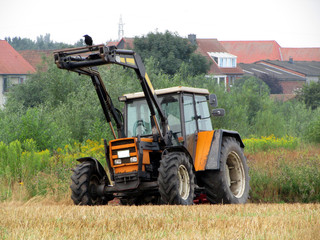Fototapeta premium Krähe sitzt auf Frontlader von Traktor
