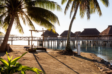 Palms and overwater bungalows view in french polynesia
