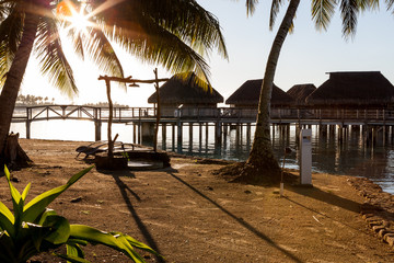 Palm and overwater bungalows view in french polynesia