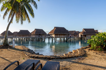 Palm and overwater bungalows view in french polynesia