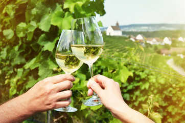 Vineyards in Rhine region, Switzerland