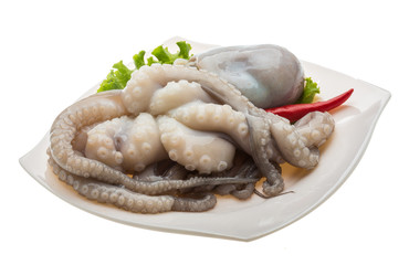 Raw octopus