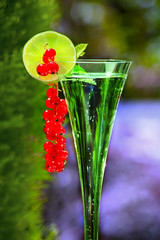 Sektglas mit Fr&uuml;chten