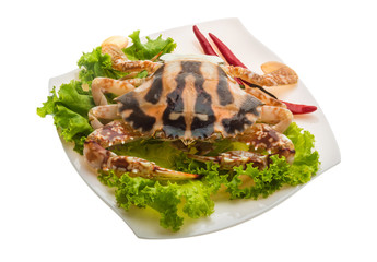 Red crab