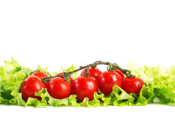 fresh tomatoes
