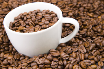 Kaffeebohnen2