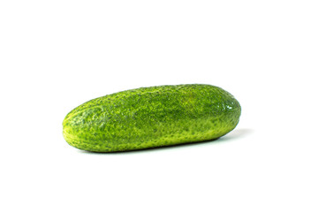Cucumber vegetable isolated on white background