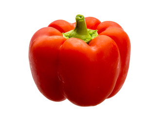 Red bulgarian pepper