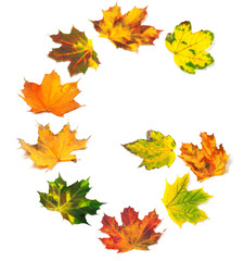 Letter G composed of autumn maple leafs