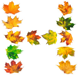 Naklejka na ściany i meble Letter H composed of autumn maple leafs