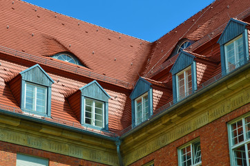 dachgauben