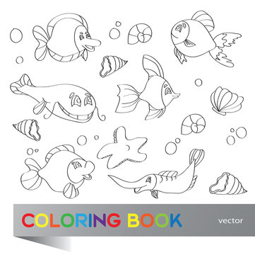 Coloring book - marine life